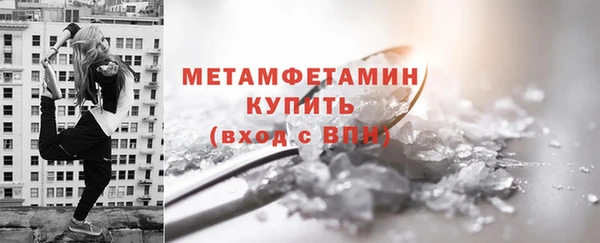 прущие грибы Богданович