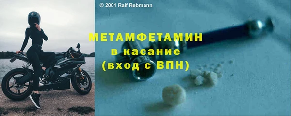 прущие грибы Богданович