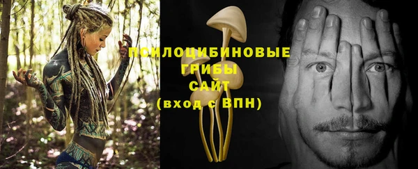 прущие грибы Богданович