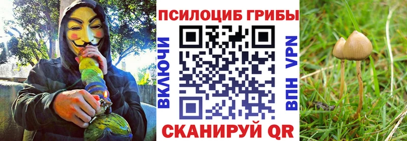 хочу   Городовиковск  Галлюциногенные грибы GOLDEN TEACHER 