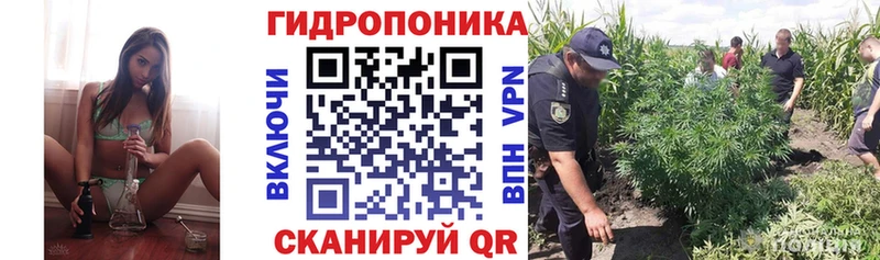 Каннабис конопля  Городовиковск 